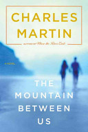 The_mountain_between_us